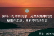 黑料不打烊异闻录：另类视角中的隐秘事件汇编，黑料不打烊杂志