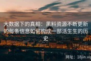 大数据下的真相：黑料资源不断更新的每条信息如何构成一部活生生的历史