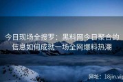 今日现场全搜罗：黑料网今日聚合的信息如何成就一场全网爆料热潮