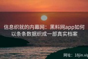 信息织就的内幕网：黑料网app如何以条条数据织成一部真实档案