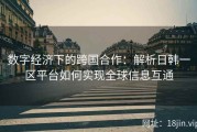 数字经济下的跨国合作：解析日韩一区平台如何实现全球信息互通