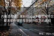 内幕透视镜：黑料社app下载官网带您看清那些镶嵌在华丽外衣下的真相