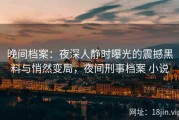 晚间档案：夜深人静时曝光的震撼黑料与悄然变局，夜间刑事档案 小说