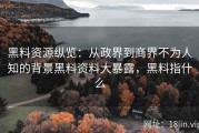 黑料资源纵览：从政界到商界不为人知的背景黑料资料大暴露，黑料指什么