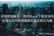 关键数据解析：黑料社app下载官网中的爆料如何利用数据挖掘出真实内幕