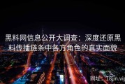 黑料网信息公开大调查：深度还原黑料传播链条中各方角色的真实面貌