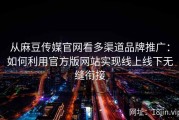 从麻豆传媒官网看多渠道品牌推广：如何利用官方版网站实现线上线下无缝衔接