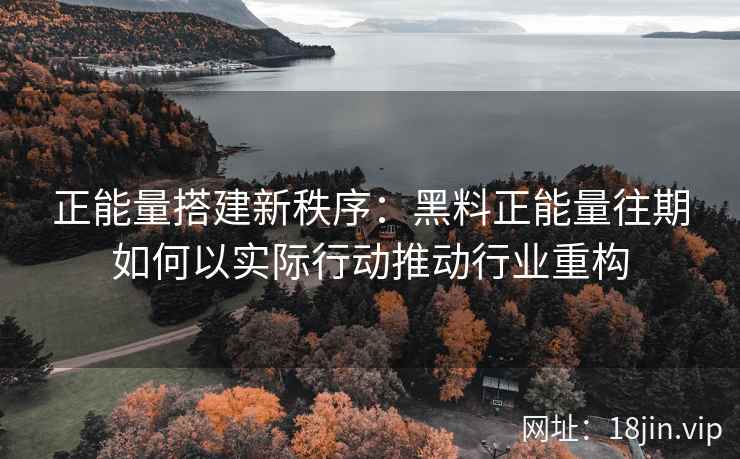 正能量搭建新秩序：黑料正能量往期如何以实际行动推动行业重构