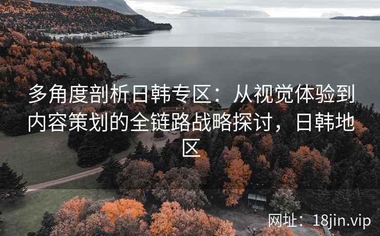 多角度剖析日韩专区：从视觉体验到内容策划的全链路战略探讨，日韩地区