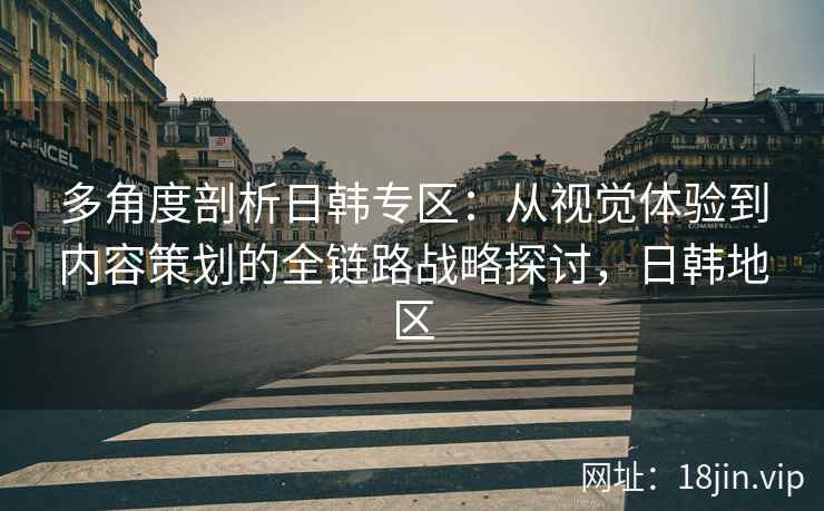 多角度剖析日韩专区：从视觉体验到内容策划的全链路战略探讨，日韩地区