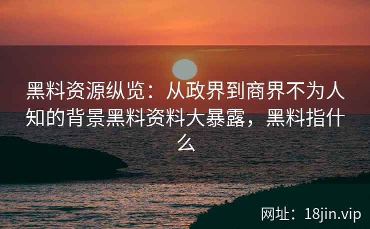 黑料资源纵览：从政界到商界不为人知的背景黑料资料大暴露，黑料指什么