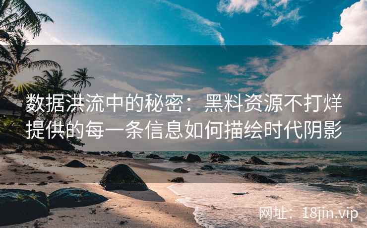 数据洪流中的秘密：黑料资源不打烊提供的每一条信息如何描绘时代阴影