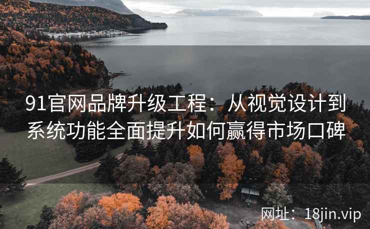91官网品牌升级工程：从视觉设计到系统功能全面提升如何赢得市场口碑