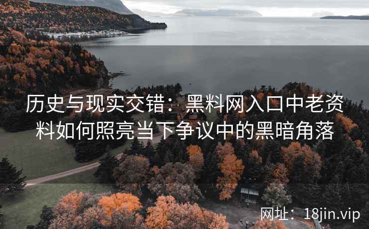 历史与现实交错：黑料网入口中老资料如何照亮当下争议中的黑暗角落