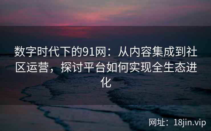 数字时代下的91网：从内容集成到社区运营，探讨平台如何实现全生态进化