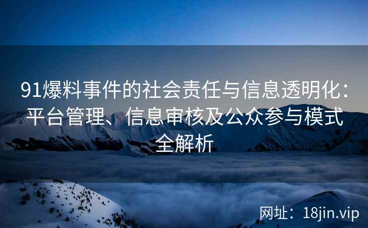 91爆料事件的社会责任与信息透明化：平台管理、信息审核及公众参与模式全解析