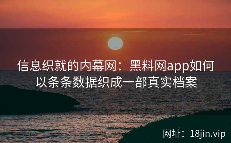 信息织就的内幕网：黑料网app如何以条条数据织成一部真实档案